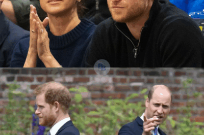 Meghan schafft das Geld ran, Prinz Harry “ringt mit sich”