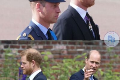 Royaler Bruch! Insider enthüllt: William erkennt Harry nicht mehr wieder – was wirklich hinter dem eiskalten Schweigen steckt
