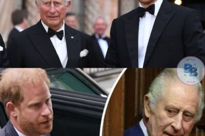 Was plant Prinz Harry wirklich? September-Besuch bei König Charles wirft Fragen auf!