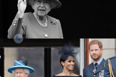 Enthüllt nach ihrem Tod: Welche leisen Zweifel Queen Elizabeth wirklich an Meghan hatte – und warum sie niemandem davon erzählte