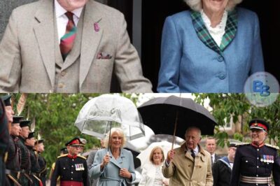 Nass bis auf die Knochen – doch dieses royale Duo lässt sich nicht unterkriegen!