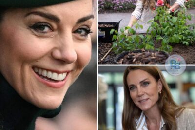 Schock-Enthüllung bei Kate! Was wirklich nach der Krebsbehandlung geschah, lässt ganz Großbritannien den Atem anhalten