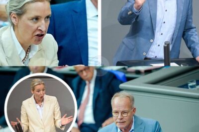 Mit nur einem Satz und einem bekannten Schlager-Hit: Wie ein SPD-Politiker Weidels AfD-Rede gnadenlos entlarvte – das Publikum war sprachlos!