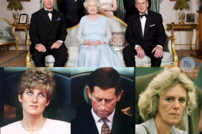 „…ein heimlich mitgeschnittenes Liebes‑Telefonat … ,‘überall an dir, auf und ab … oder in einen Tampon’ … Das Tampongate war geboren.“ Tampongate, Untreue, Missbrauch: Die zehn größten Skandale im britischen Königshaus