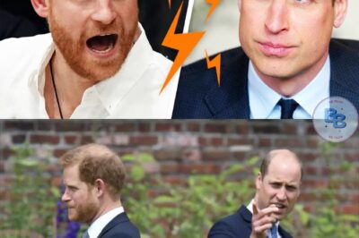Zwei Brüder, zwei Welten: Warum William und Harry kaum noch miteinander sprechen