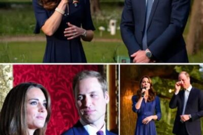 Niemand hat das erwartet: Kate singt „Make You Feel My Love“ für William – ein intimer Geburtstagsmoment, der mehr offenbart als Jahre königlicher Pflichterfüllung je zeigen konnten.